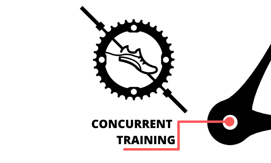 Concurrent Training diagram